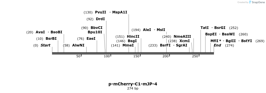 151820_map