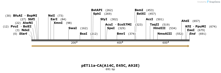 151832_map