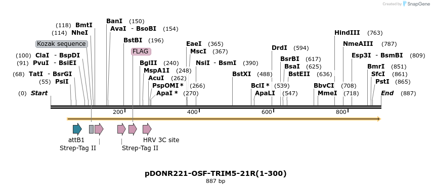 151838_map