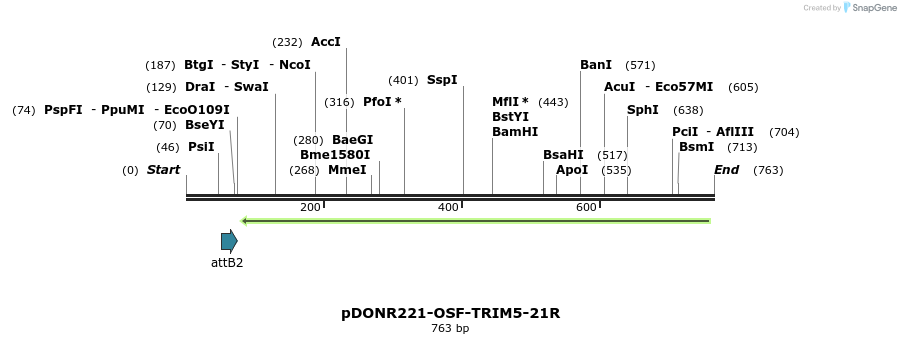 151841_map