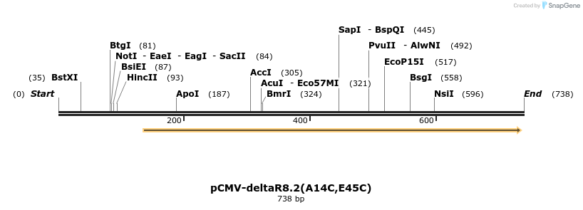 151844_map