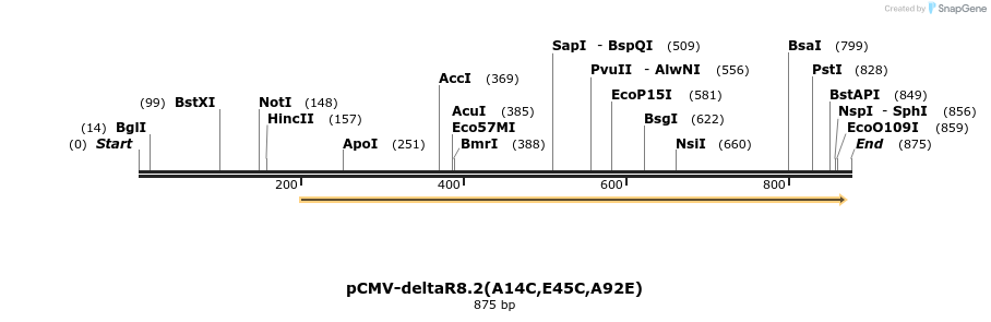 151848_map