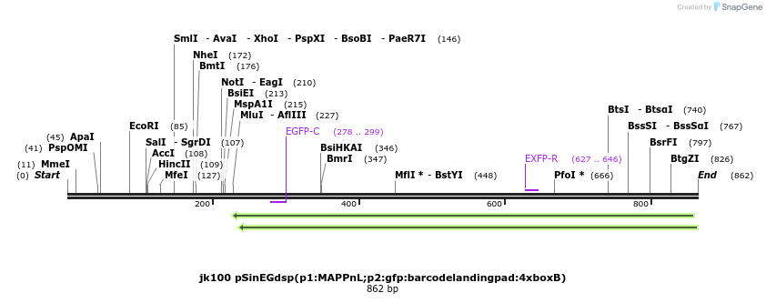 151902_map