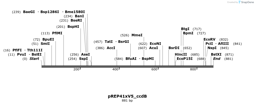 151920_map