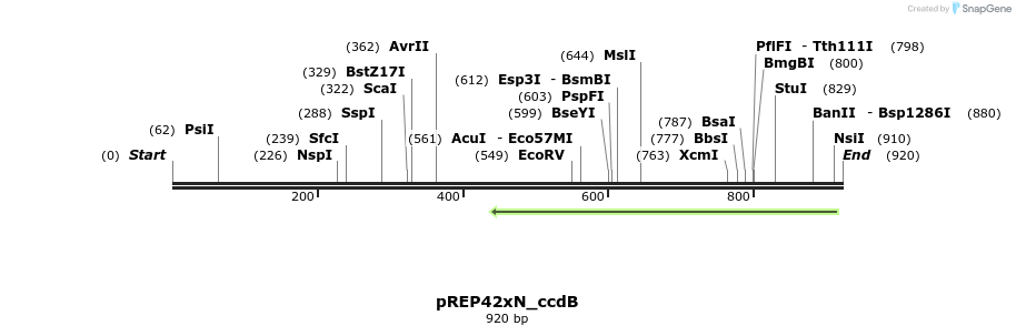 151956_map