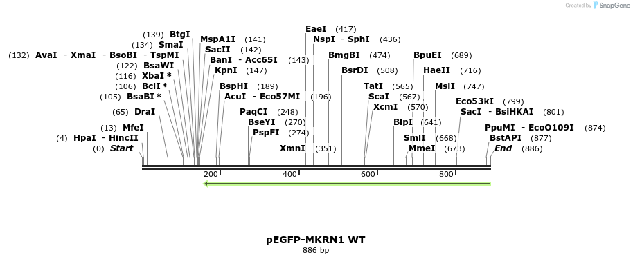 151968_map