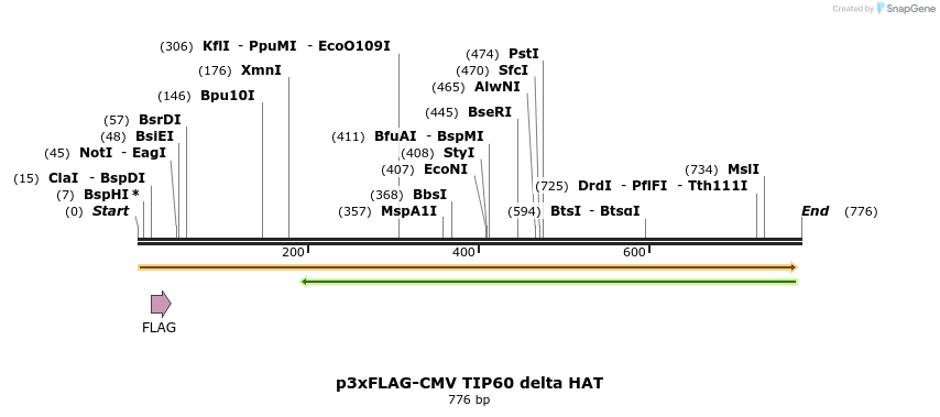 151969_map