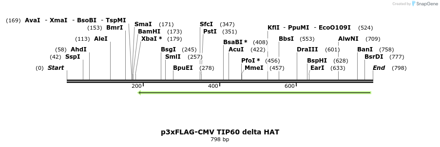 151970_map