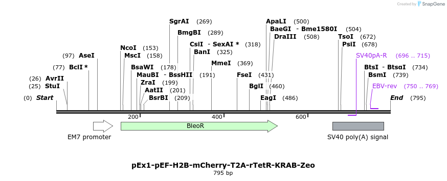 151974_map