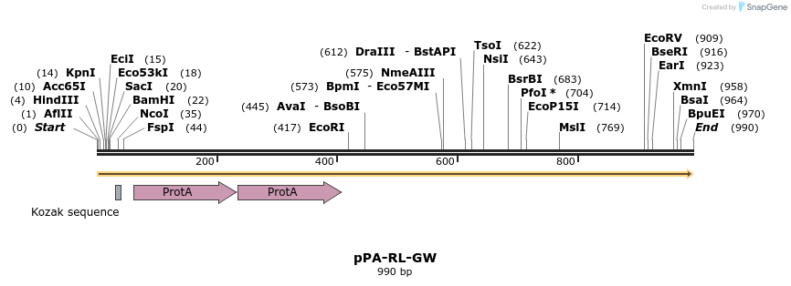 151981_map