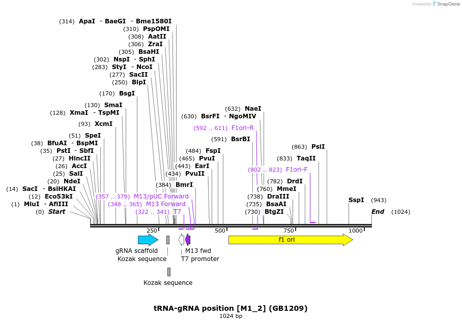 152040_map