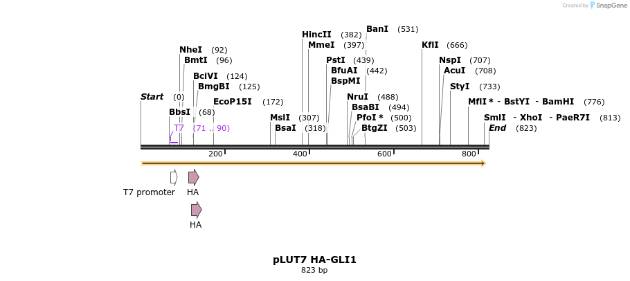 152064_map
