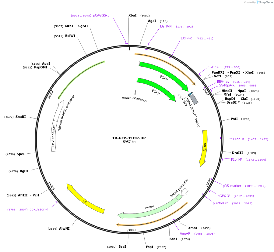 152070_map