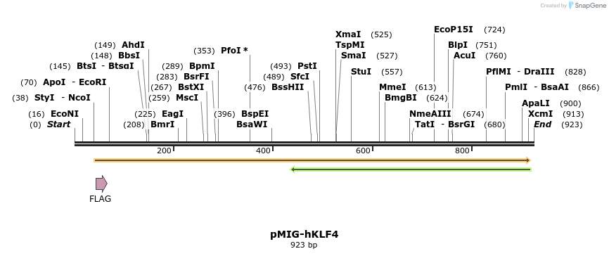 152095_map
