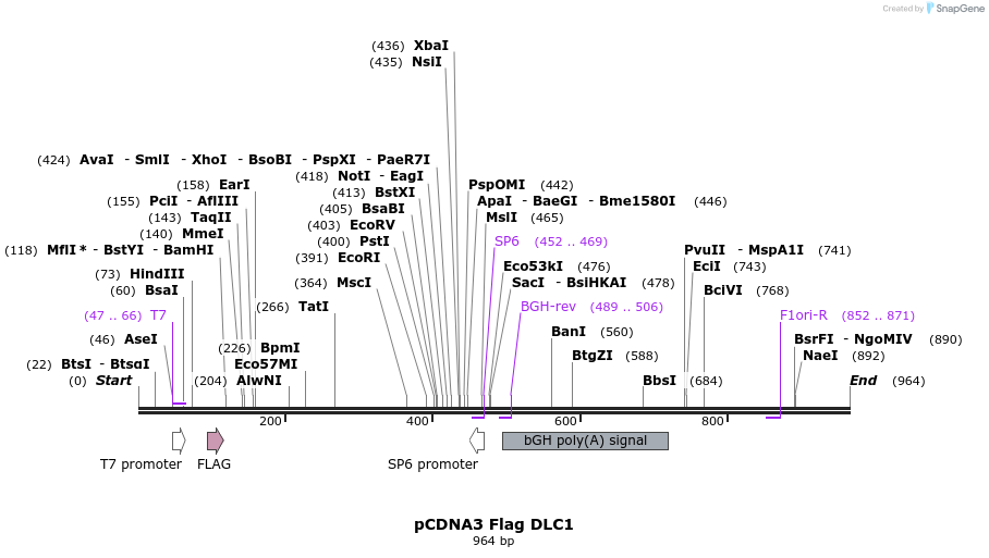152104_map