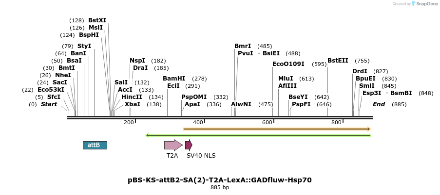 152107_map