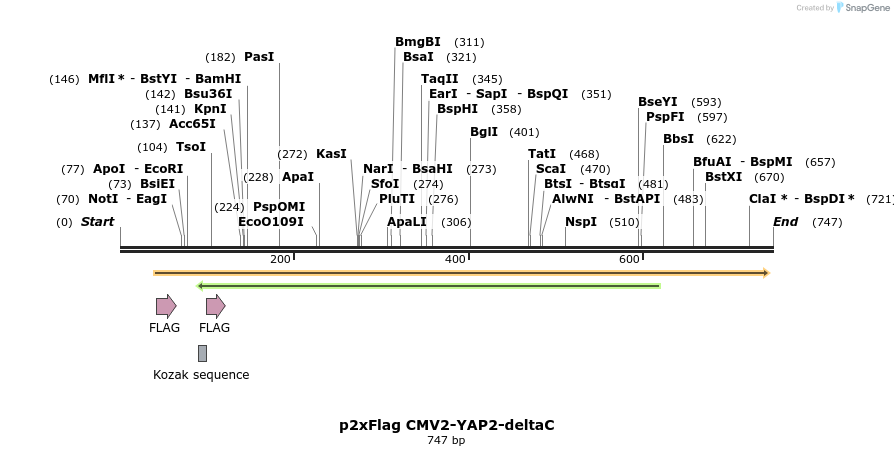 152111_map