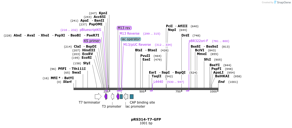 152115_map