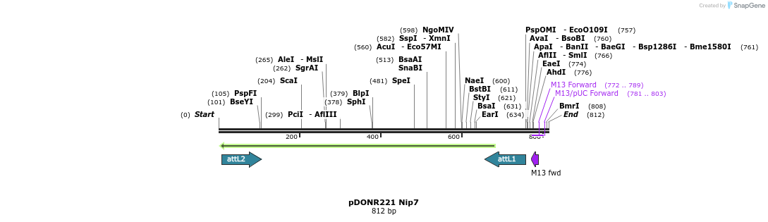 152139_map