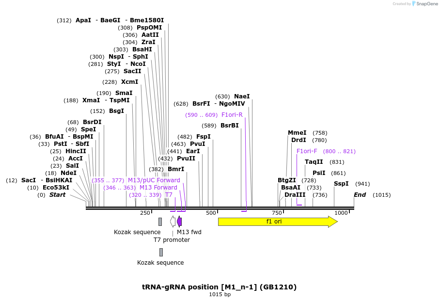 152161_map