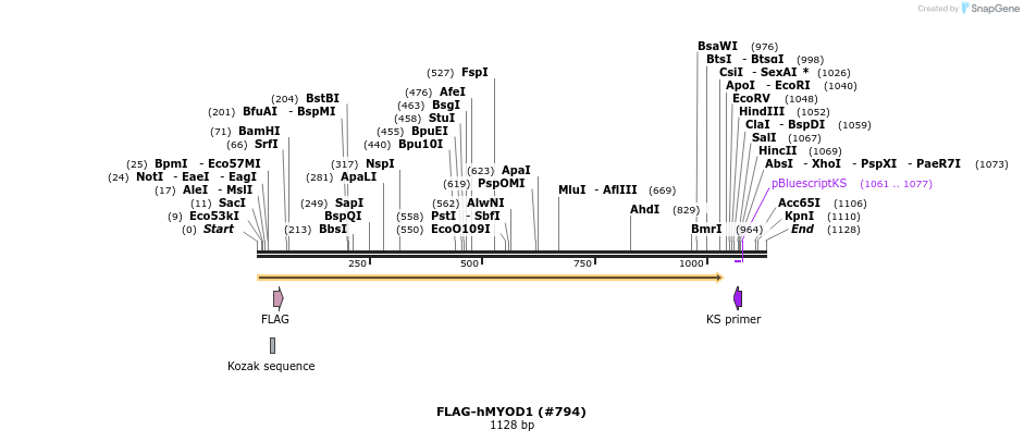 152164_map