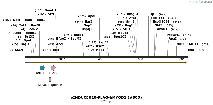 152176_map