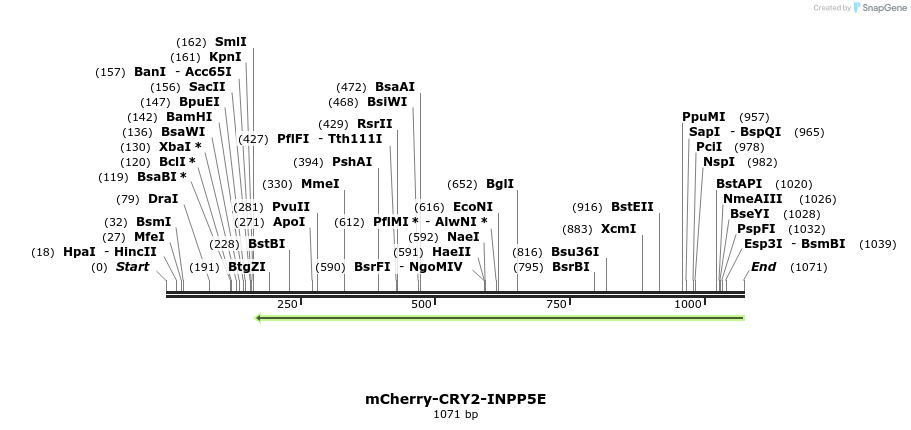 152194_map