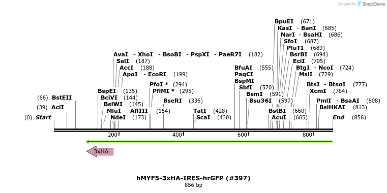 152195_map