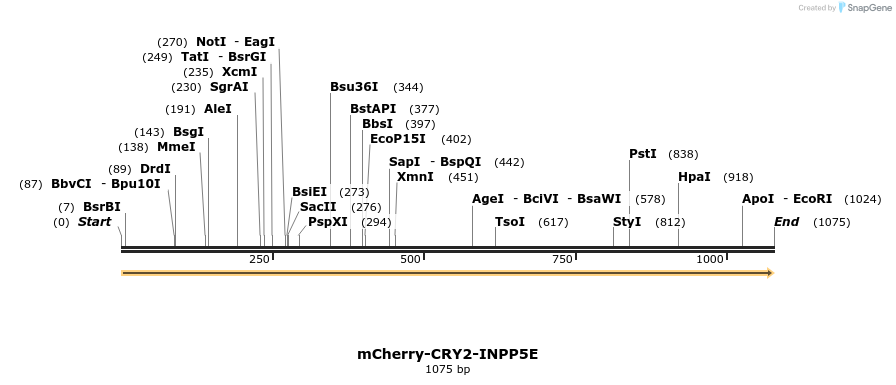 152198_map