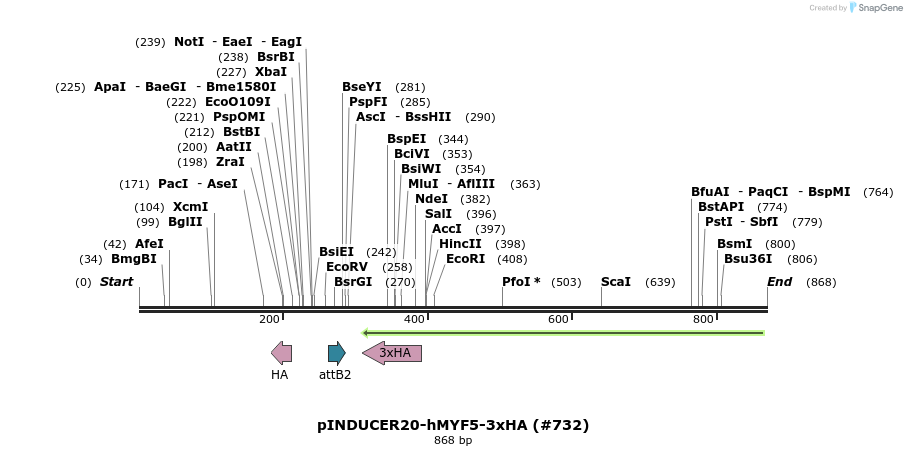 152202_map