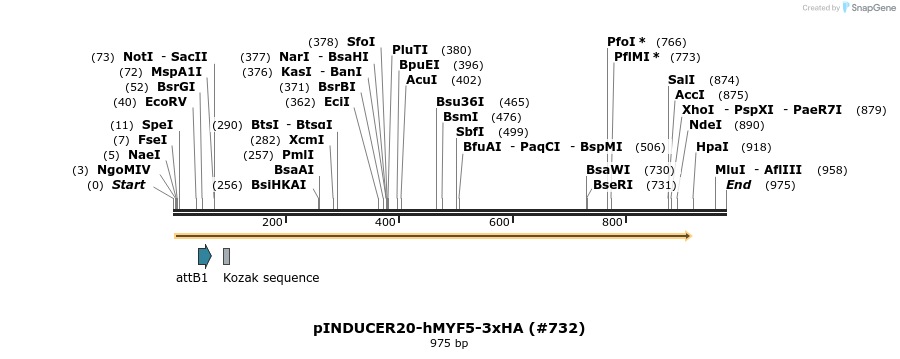 152204_map