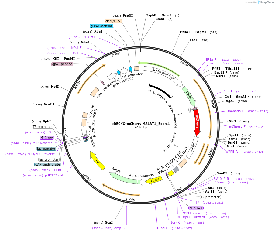 152207_map