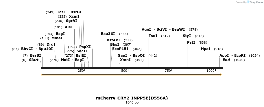 152208_map