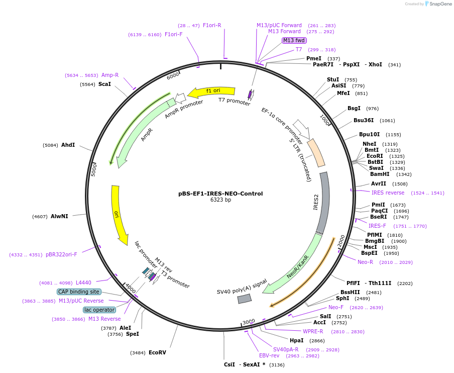 152210_map