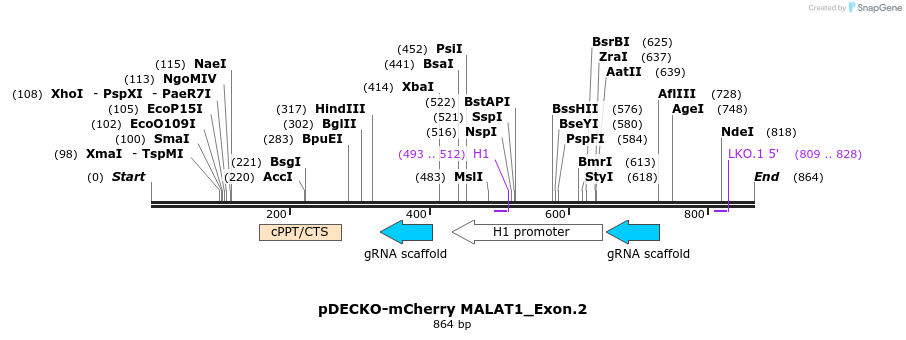 152211_map