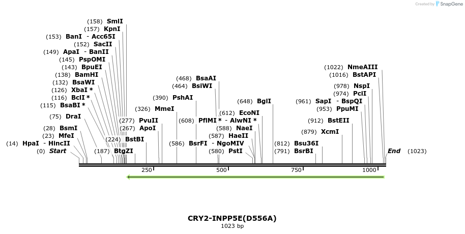 152216_map
