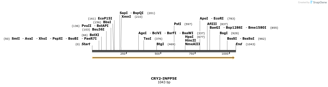 152219_map