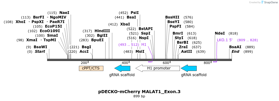 152221_map