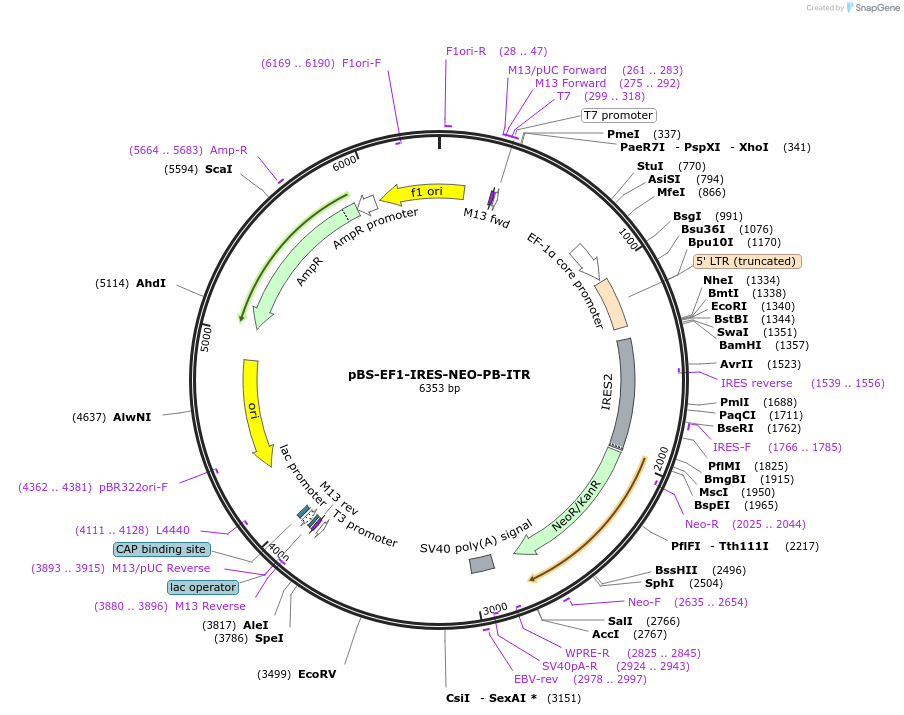 152226_map