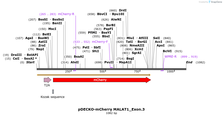 152227_map