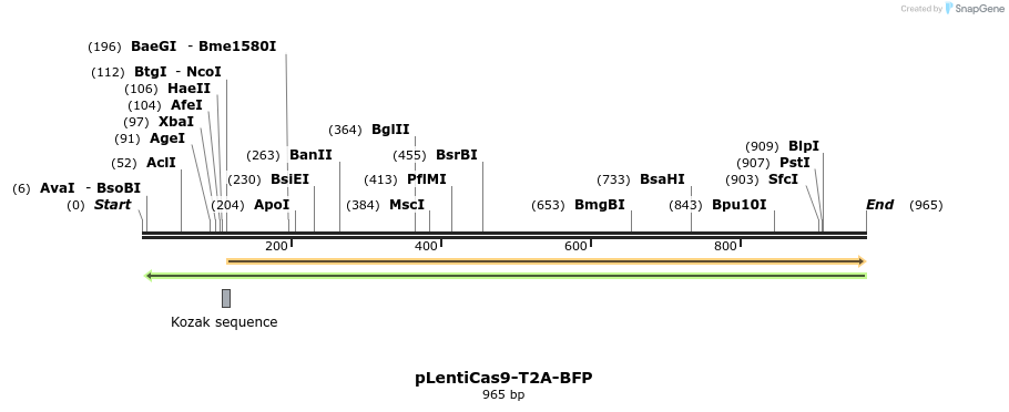 152256_map