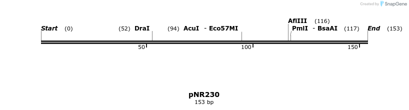 152265_map