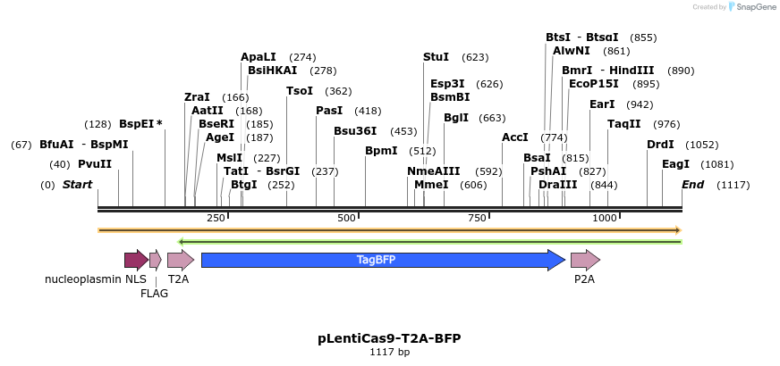 152266_map