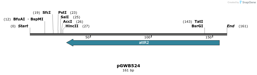 152268_map