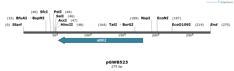 152269_map