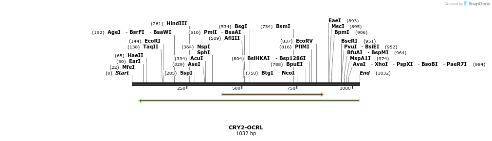 152273_map