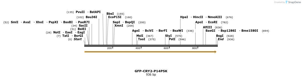 152274_map