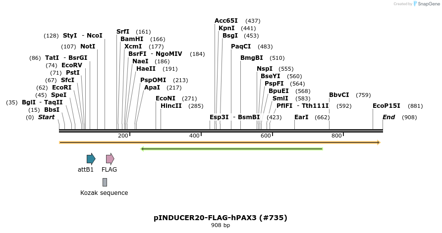 152277_map