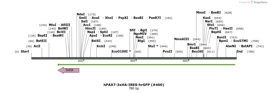 152281_map