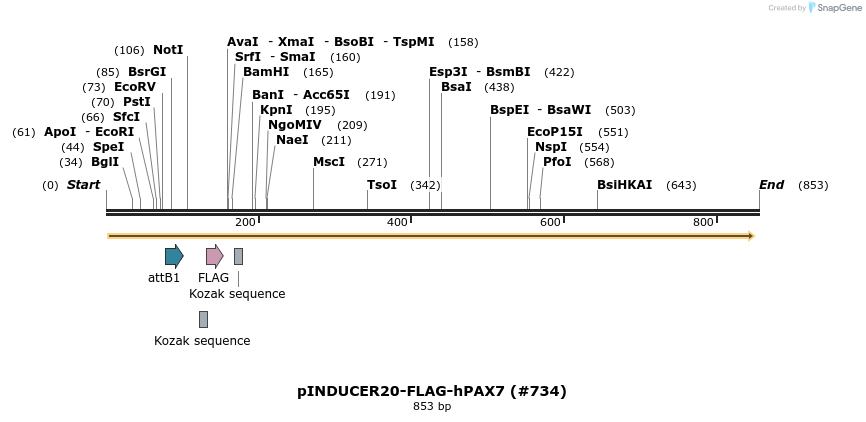 152282_map